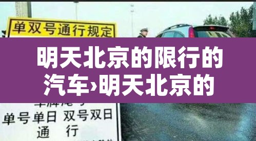 明天北京的限行的汽车›明天北京的限行车号是多少