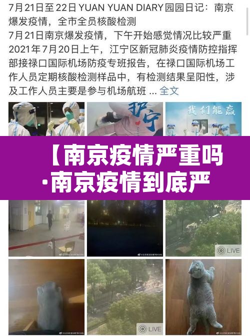 【南京疫情严重吗·南京疫情到底严不严重】