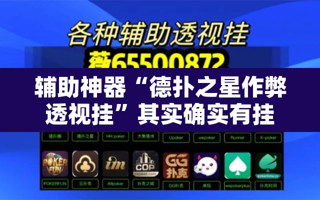 辅助神器“德扑之星作弊透视挂”其实确实有挂