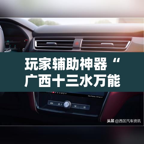 玩家辅助神器“广西十三水万能辅助器	”(透视)其实确实有挂