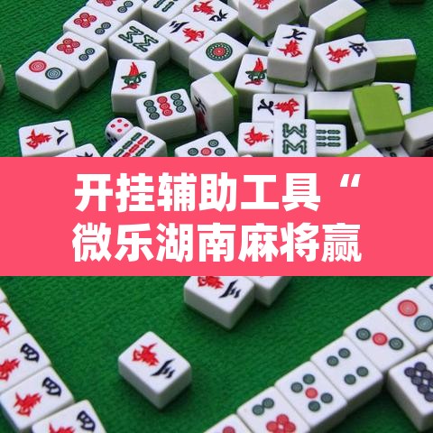 开挂辅助工具“微乐湖南麻将赢牌规律是啥	”(透视)其实确实有挂