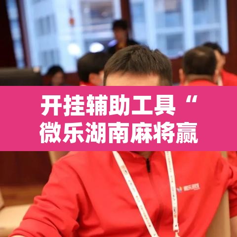 开挂辅助工具“微乐湖南麻将赢牌规律是啥	”(透视)其实确实有挂