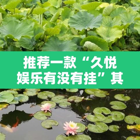 推荐一款“久悦娱乐有没有挂	”其实确实有挂