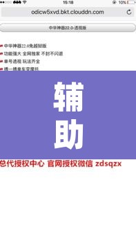 辅助神器“微乐跑得快透视软件”其实确实有挂