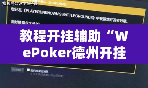 教程开挂辅助“WePoker德州开挂辅助作弊挂”(透视)其实确实有挂