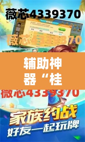 辅助神器“桂柳麻将的挂怎么安装”(透视挂)辅助透视教程