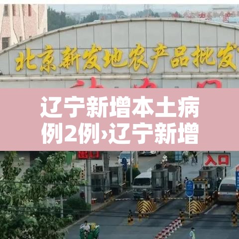 辽宁新增本土病例2例›辽宁新增本土疑似病例