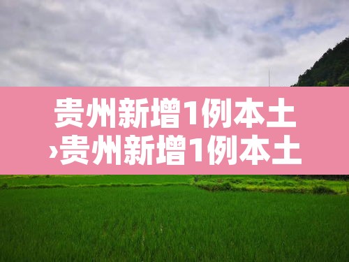贵州新增1例本土›贵州新增1例本土病例