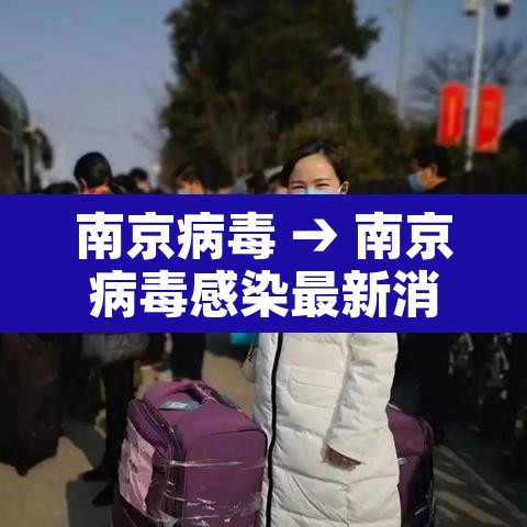 南京病毒 → 南京病毒感染最新消息现在情况