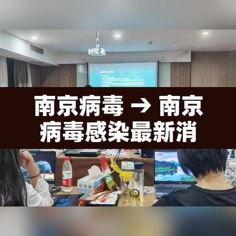 南京病毒 → 南京病毒感染最新消息现在情况