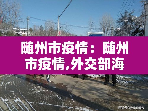 随州市疫情：随州市疫情,外交部海外梁恒