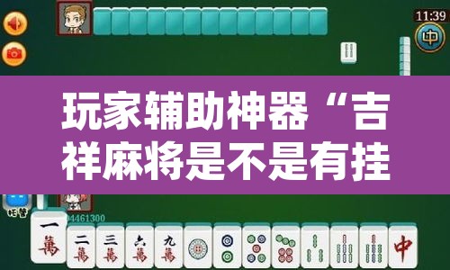 玩家辅助神器“吉祥麻将是不是有挂”(透视)其实确实有挂