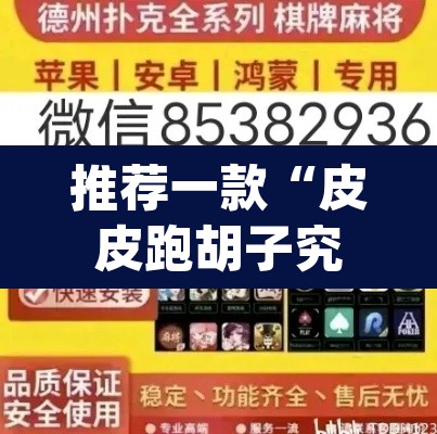 推荐一款“皮皮跑胡子究竟有挂吗”(透视挂)辅助透视教程