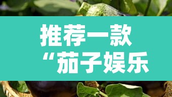 推荐一款“茄子娱乐开挂”其实确实有挂
