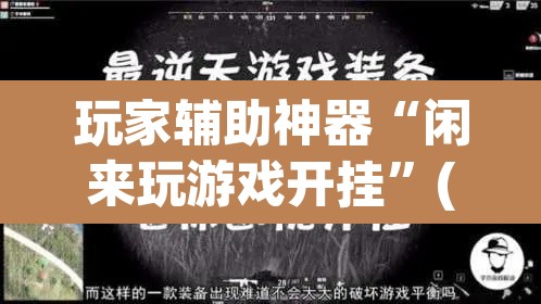 玩家辅助神器“闲来玩游戏开挂”(透视)其实确实有挂
