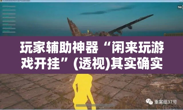 玩家辅助神器“闲来玩游戏开挂	”(透视)其实确实有挂
