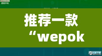 推荐一款“wepoker德州局透视挂辅助软件”其实确实有挂