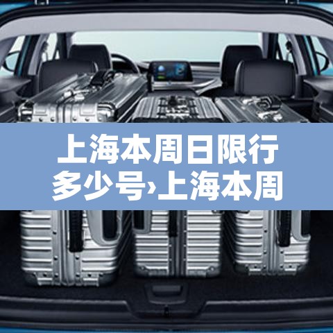 上海本周日限行多少号›上海本周日限行多少号啊