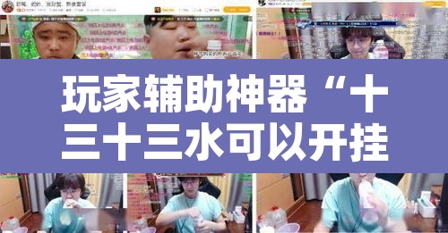 玩家辅助神器“十三十三水可以开挂吗”其实确实有挂