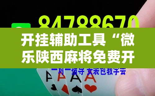 开挂辅助工具“微乐陕西麻将免费开挂神器”(透视)其实确实有挂