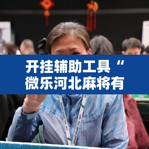 开挂辅助工具“微乐河北麻将有挂吗	”其实确实有挂