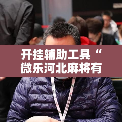 开挂辅助工具“微乐河北麻将有挂吗”其实确实有挂