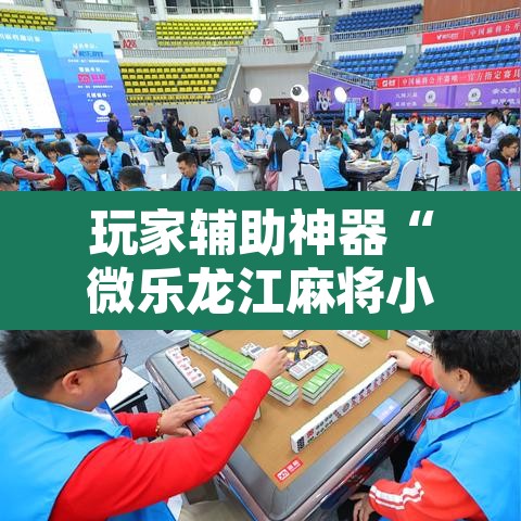 玩家辅助神器“微乐龙江麻将小程序挂”其实确实有挂