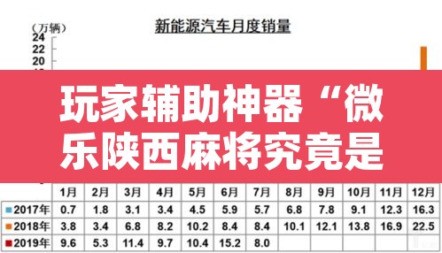 玩家辅助神器“微乐陕西麻将究竟是如何开挂”附辅助神器开挂脚本详细步骤