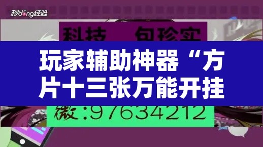 玩家辅助神器“方片十三张万能开挂器”附辅助神器开挂脚本详细步骤