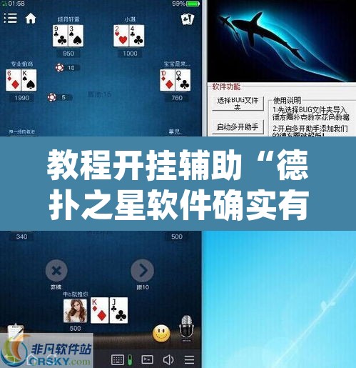 教程开挂辅助“德扑之星软件确实有辅助”(透视)其实确实有挂