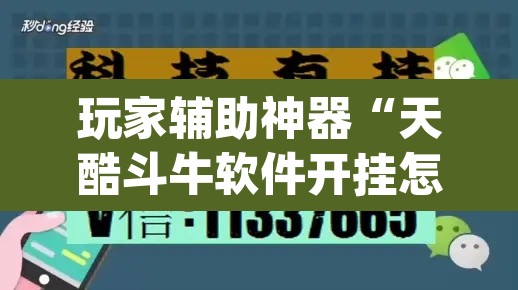 玩家辅助神器“天酷斗牛软件开挂怎么开	”(透视)其实确实有挂