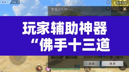 玩家辅助神器“佛手十三道开挂辅助软件”其实确实有挂