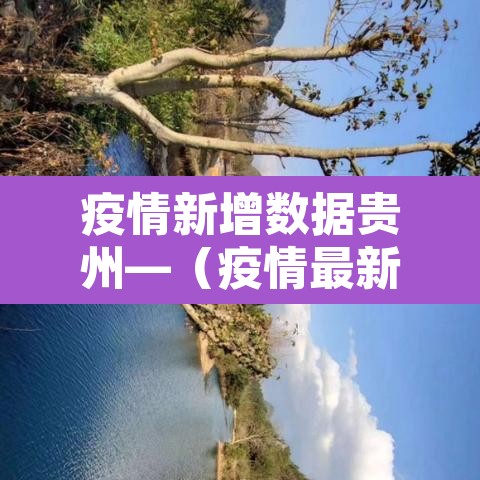 疫情新增数据贵州—（疫情最新消息今天贵州新冠确诊7例分别）