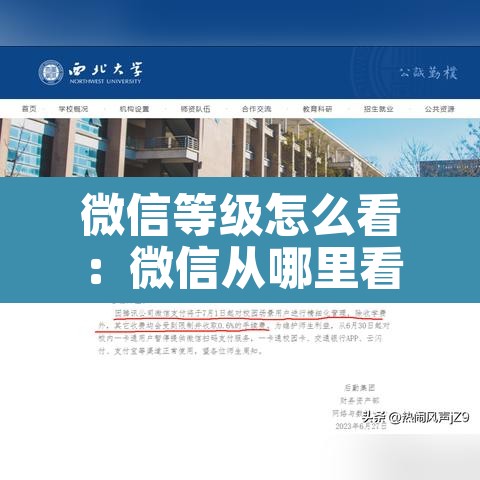 微信等级怎么看：微信从哪里看等级
