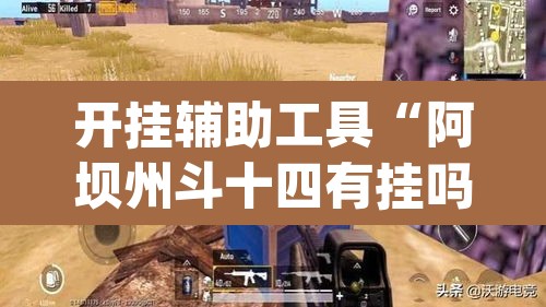 开挂辅助工具“阿坝州斗十四有挂吗”(透视)其实确实有挂