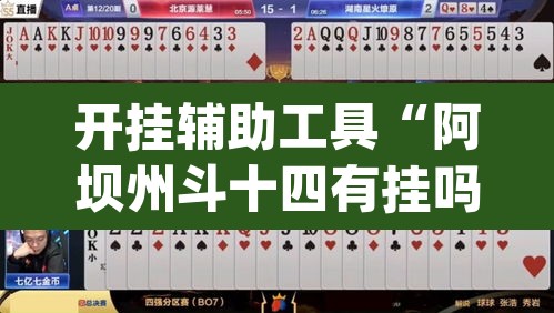 开挂辅助工具“阿坝州斗十四有挂吗”(透视)其实确实有挂