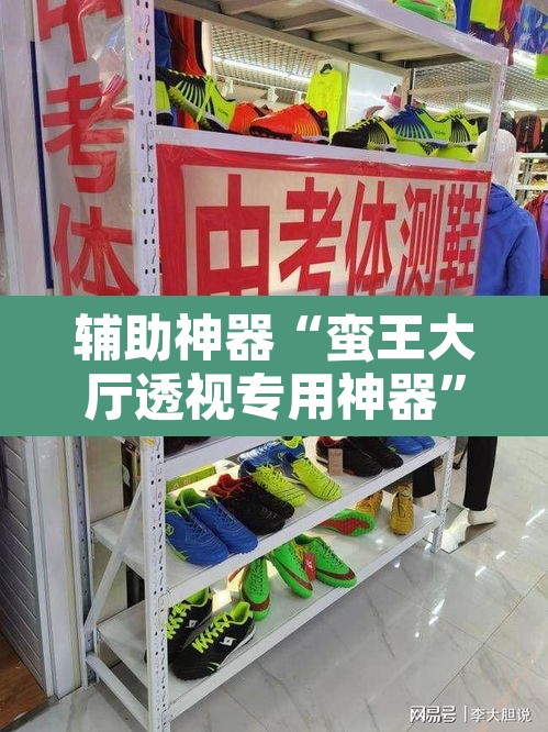 辅助神器“蛮王大厅透视专用神器	”其实确实有挂