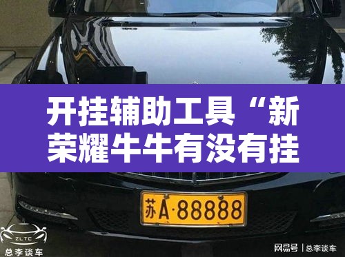 开挂辅助工具“新荣耀牛牛有没有挂”开挂辅助脚本+详细开挂安装教程