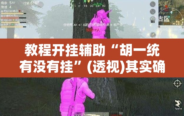 教程开挂辅助“胡一统有没有挂”(透视)其实确实有挂