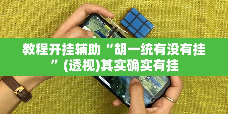 教程开挂辅助“胡一统有没有挂”(透视)其实确实有挂