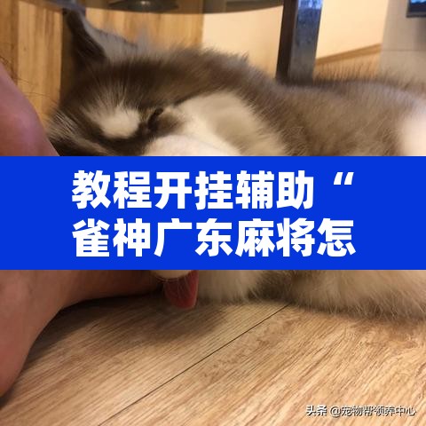 教程开挂辅助“雀神广东麻将怎么打才能赢”附辅助神器开挂脚本详细步骤