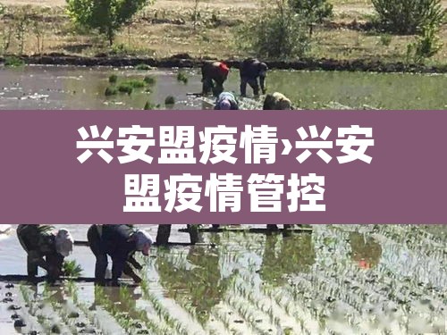 兴安盟疫情›兴安盟疫情管控