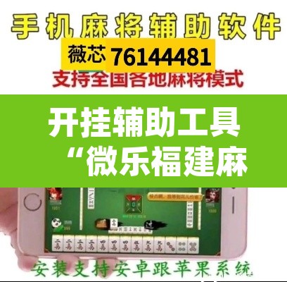 开挂辅助工具“微乐福建麻将怎么开挂”(透视挂)辅助透视教程