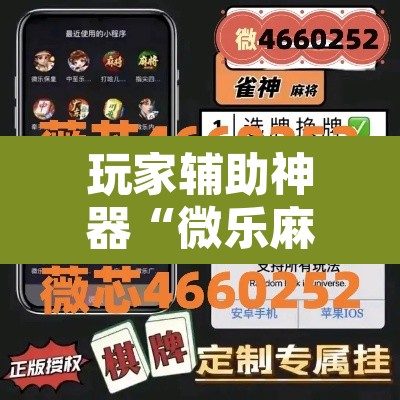 玩家辅助神器“微乐麻将挂先试用后付款”开挂辅助脚本+详细开挂安装教程
