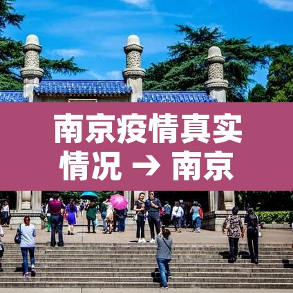 南京疫情真实情况 → 南京疫情具体情况