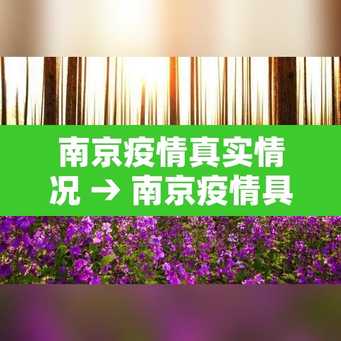 南京疫情真实情况 → 南京疫情具体情况