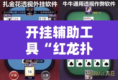 开挂辅助工具“红龙扑克确实可以开挂”(透视)其实确实有挂
