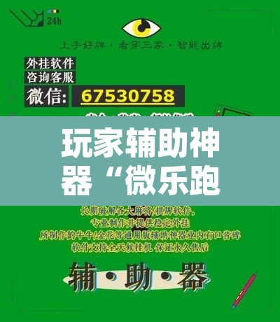 玩家辅助神器“微乐跑得快开挂视频”附辅助神器开挂脚本详细步骤