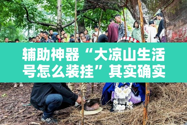 辅助神器“大凉山生活号怎么装挂	”其实确实有挂