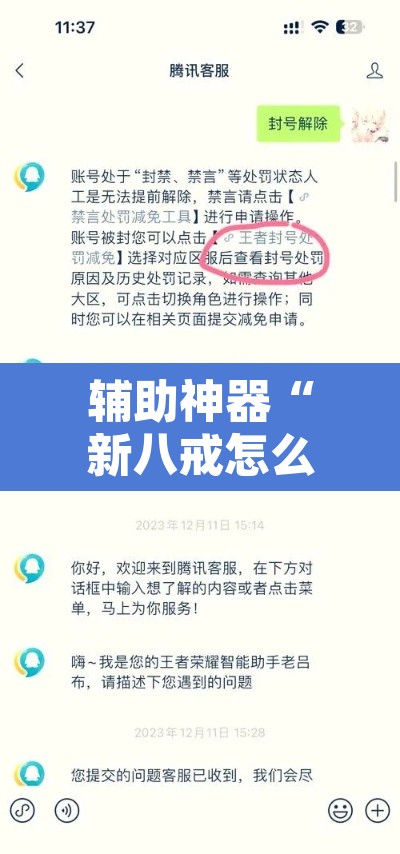 辅助神器“新八戒怎么开挂”附辅助神器开挂脚本详细步骤